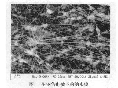 图一 在5K倍电镜下的纳米膜