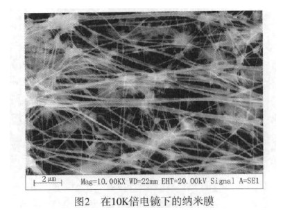 图二 在10k倍电镜下的纳米膜片