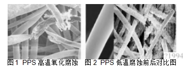 1  PPS 高温氧化腐蚀  图2  PPS 低温腐蚀前后对比图