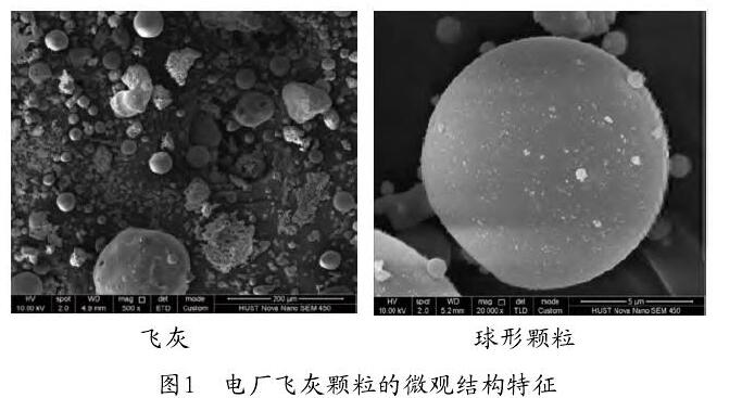 图1　电厂飞灰颗粒的微观结构特征